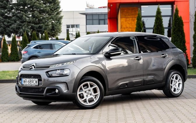 Citroen C4 Cactus cena 61500 przebieg: 46000, rok produkcji 2020 z Dzierzgoń małe 742